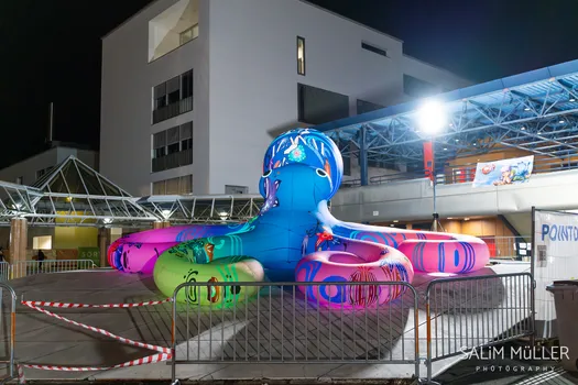 Copyright : Salim Müller